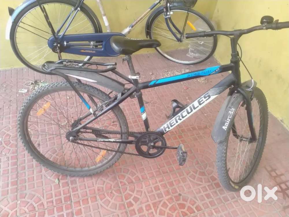 Streetcat bicycle