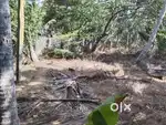 4 cents plot for sale ,kannanagam junction , kollemcode