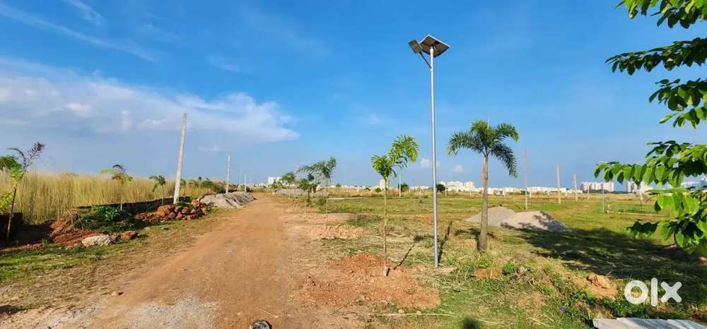 Patia kiss jagarnath mandir bhubaneswar sale for plot