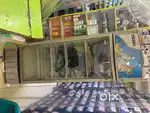 Vice cooler haier