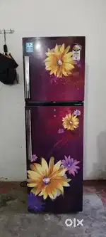 Voltas viko double door 248 ltr