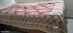 Single cot (bed)