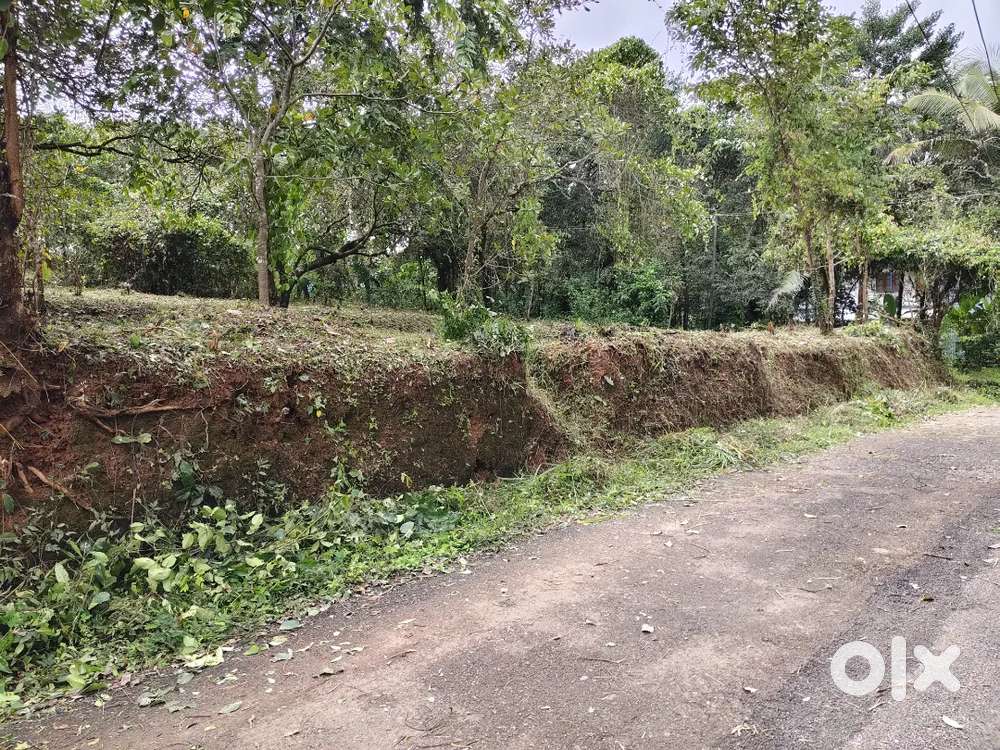 15 cent plot for sale near Chalod, Kannur