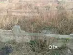 Chinni mill ke piche siwan