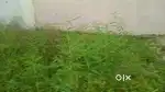 Property selling in rishi vihar we are owner not broker