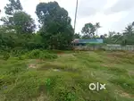 Plot for sale thathappilly