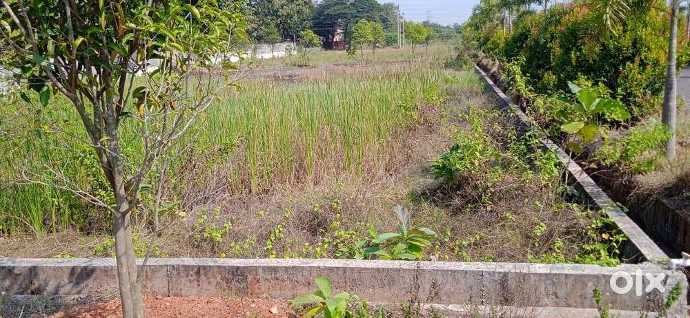 1415 sq yards residential site ( Regularization applied for )