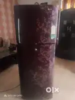 LLG fridge 290 liter