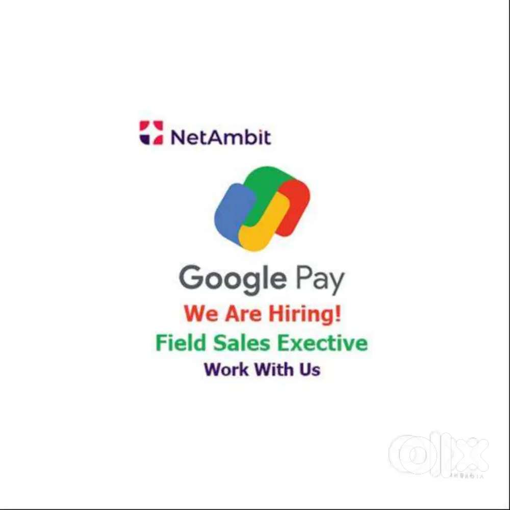 Google pay job field sales executive