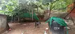 Residential Land Sale in NeyyattinkaraHoue Plot Sale in Neyyattinkara
