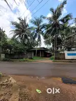 9.5 cent plot for sale in Parambil bazaar Kuruvattur Narikkuni road