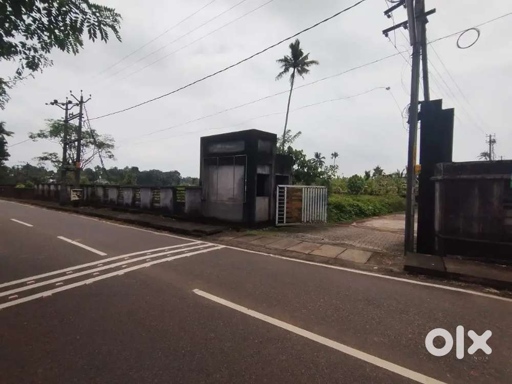 Angamaly municipality puliyanam route 9.5 cent land for sale