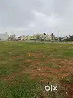 Good to invest and for your future life