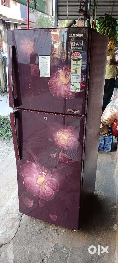 Samsung invertor model double door