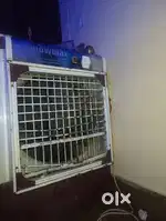 Coolers room nd windows