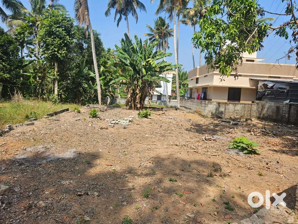 6 cent square house plot Chempazhanthy Aniyoor