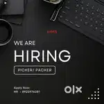 Store Executive ( picker Packer )