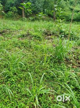 660m2 Plot for Sale near Military Camp Rawanfond Dicarpali Margao
