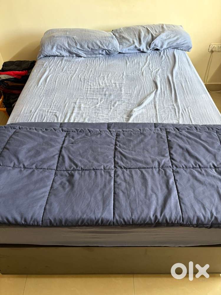 4 X 6 Ft Diwan with Box Storage
