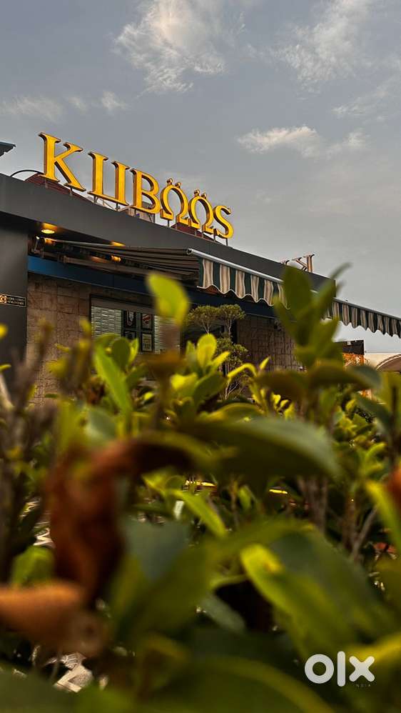 Serving steward staff