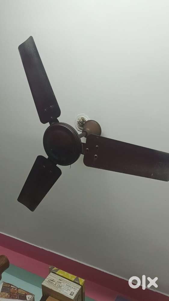 Selling the latest Og fan Reason: To upgrade a new fan