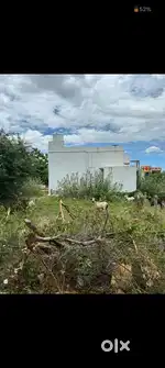 Plot for sale vallioor Maharaja nagar