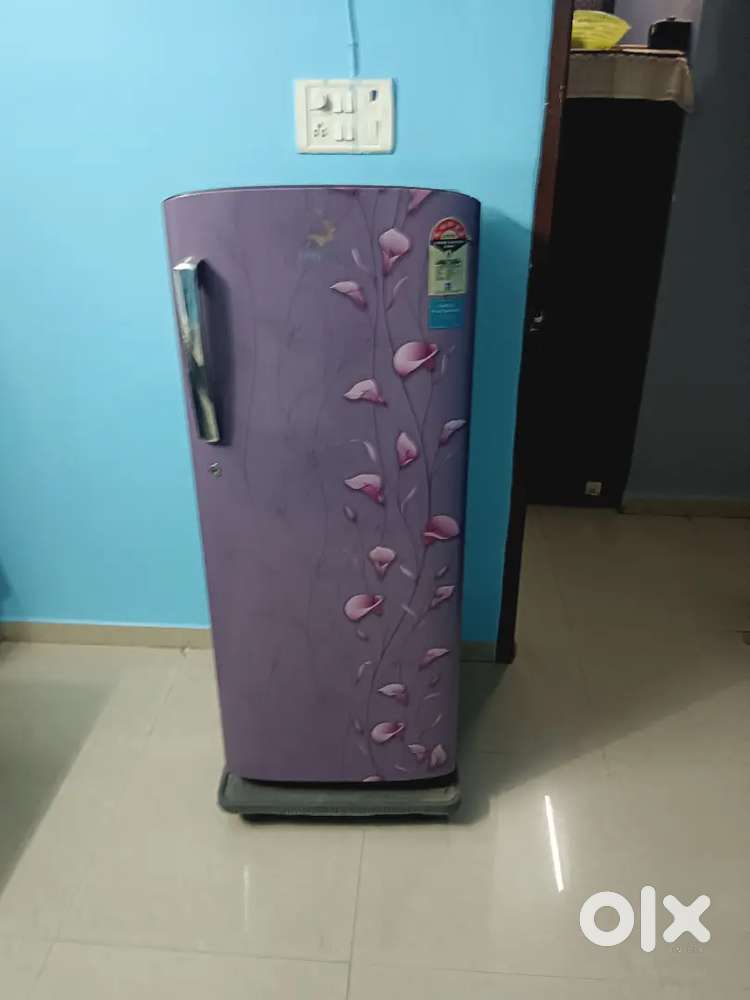 Single-Door Fridge, Perfect for a Small Apartment