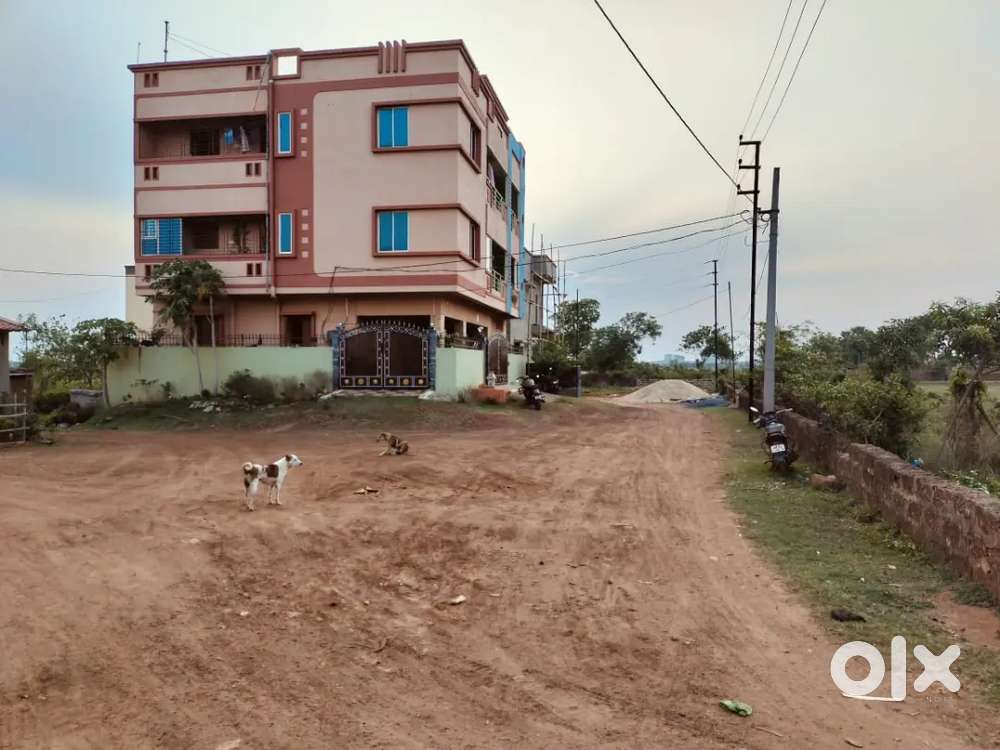 Plot for sale near aiims hospital Bhubaneswar patrapada