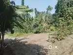 8.5 സെന്റ് land