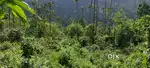 Land suitable for farming and resort