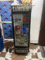 Dfridge  full working
