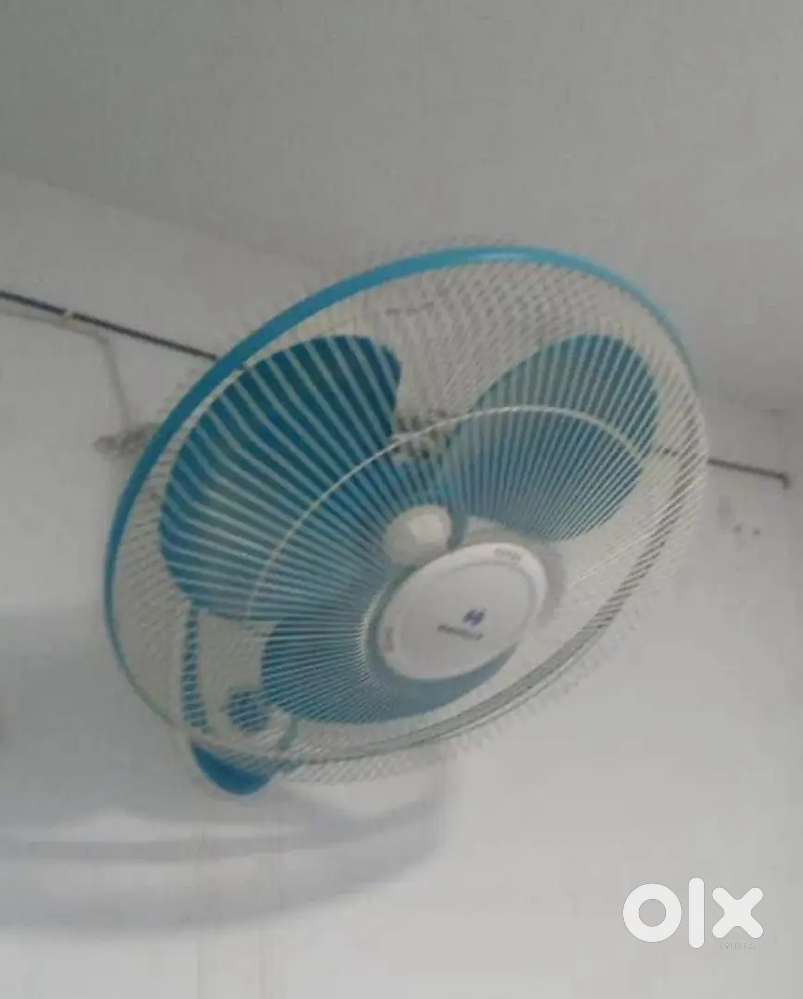 Havells wall fan