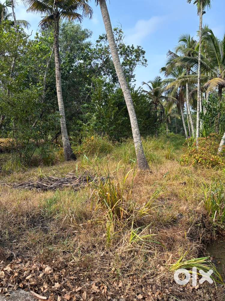 Urgent sale ₹80000