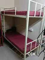 Bunk Bed Urgent Sale
