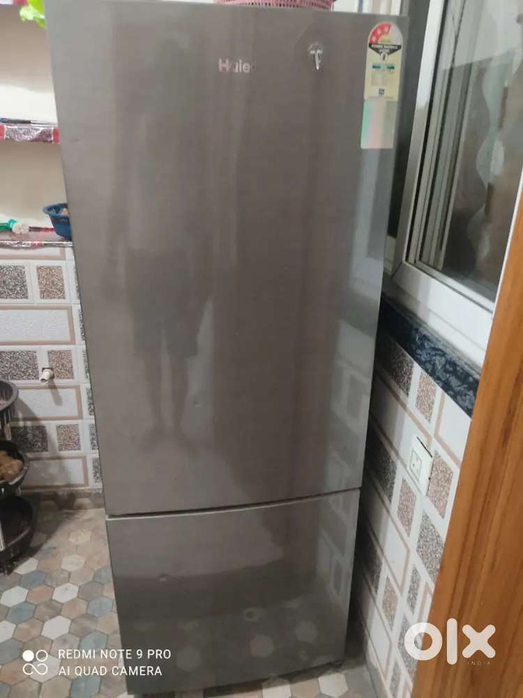 Sandar freez dubal door