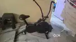 Exercise Cycle
