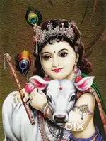 ಹಪ್ ಲೋಪ್ಟಾಪ್