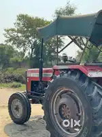 All orejanl