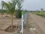 Farme land sale 1cent 160000