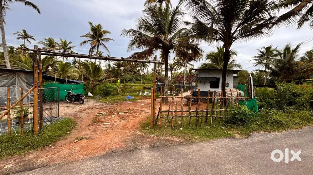 Restaurant for  Sale