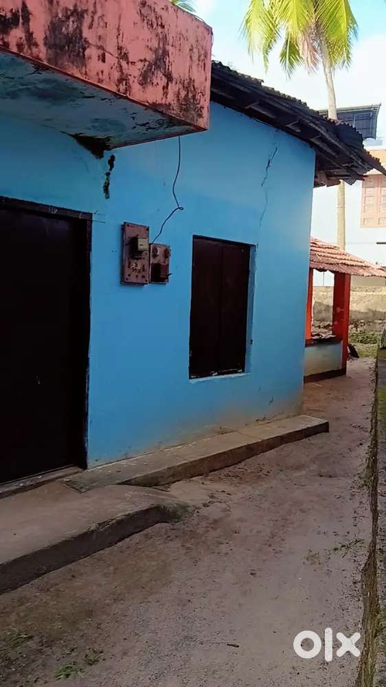 3.5 cent plot sale at muttathara