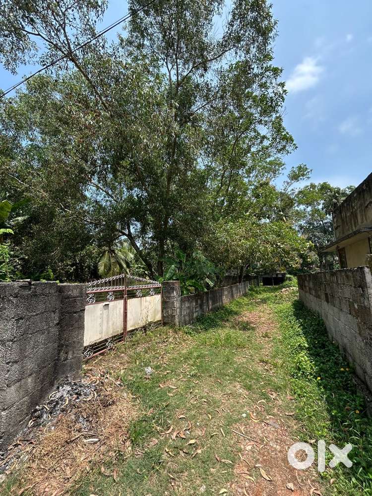 Plot for Sale at Thiurmala