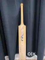 Cricket bat
