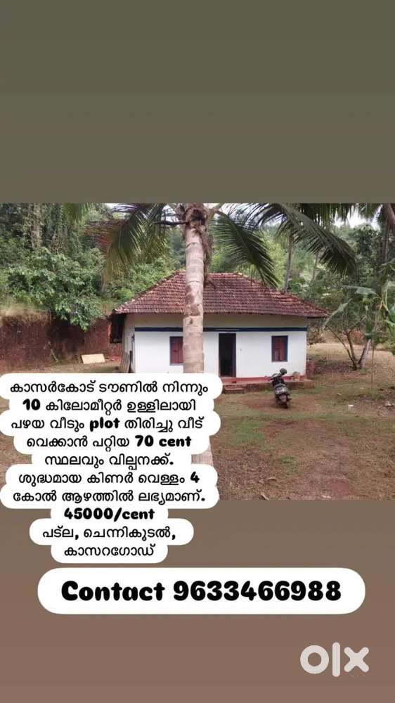 Old house and plot for sale