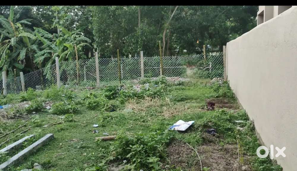 Gharabari Plot (Urgent sale)(Tapsi chaka)
