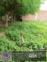 Plot near jhusi