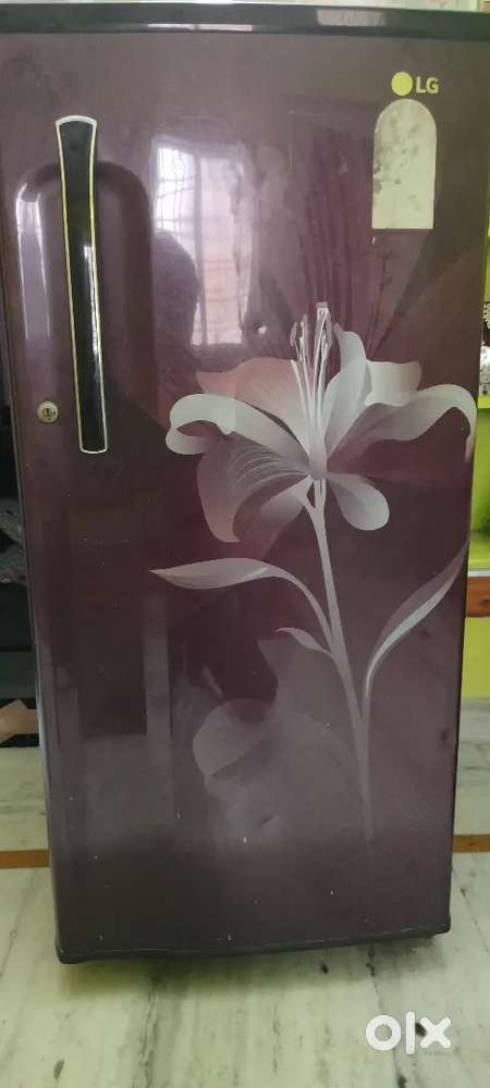 LG fridge Single Door