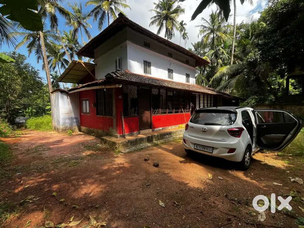 House for rent