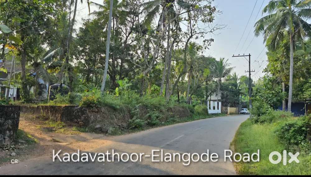 Plot for Sale near Kadavathoor,Panoor
