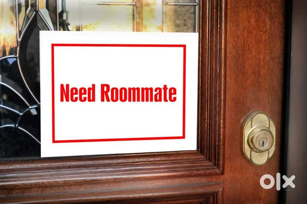Need a  room partner